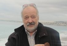 Stelian Tanase : DESANTUL TERORIST