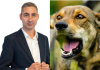 Primarul orașului Mărășești, Adrian Toderasc, unde un copil a fost ucis de maidanezi promitea luna trecută: „Îi adunăm pe toți”