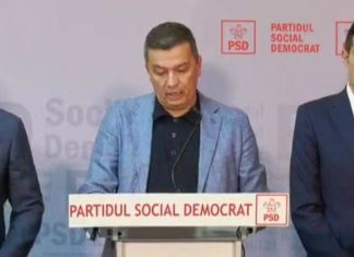 Sabina Pop : Prăduitorii au revenit în prim plan, au anunțat că vor la guvernare